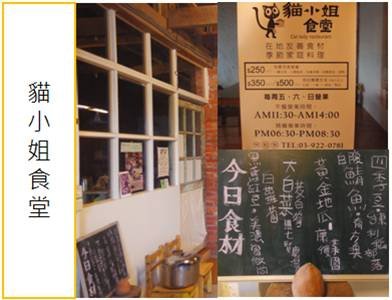 貓小姐