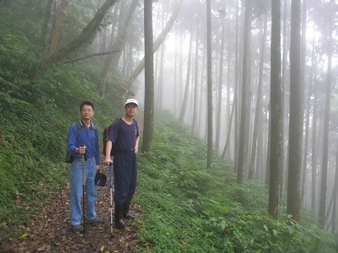 東眼山26.jpg