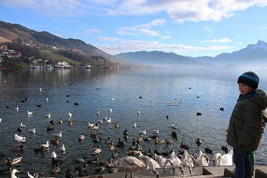 2014 0101 Mondsee