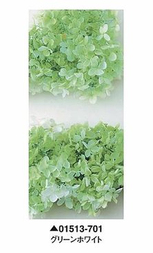 大地農園01513-701_繡球花哪裡買_繡球花介紹_永生花專賣_永生花推薦_愛意花坊-2022.jpg