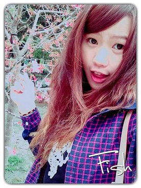 遊記❤