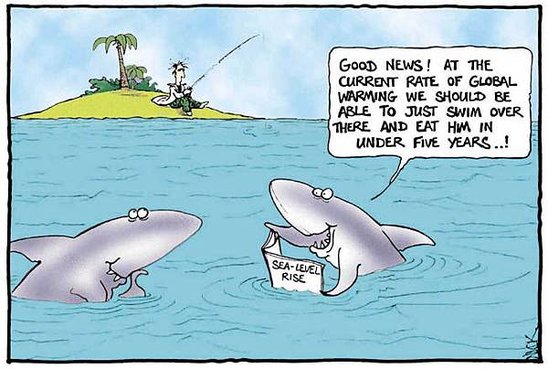 shark-global-warming