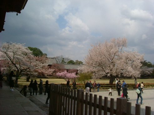 奈良東大寺 (23).JPG