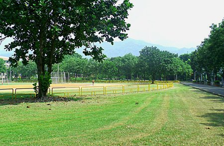 1413545673-2525347969_m[1].jpg