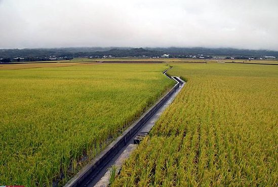 池上看雲門