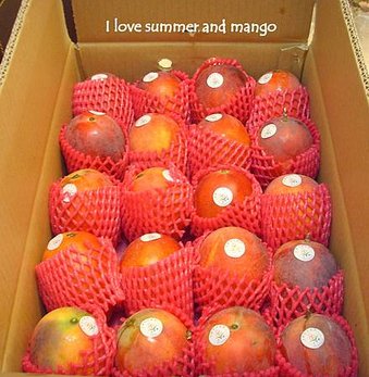 mango.jpg