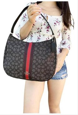 coach-hobo-f39042-jacquard-signature-stripe-tote-gray-red-multi-shoulder-bag-0-1-960-960 (1).jpg