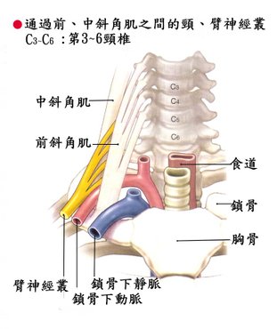 照片 161