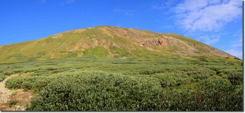 Kelso Mountain from the trail