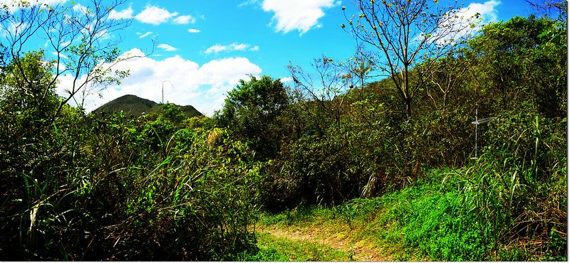 北德文山步道望德文山稜線