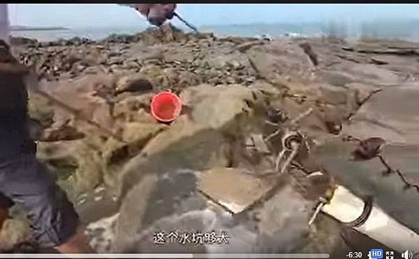 翻車-龍骨水車分為腳踏水車和手搖水車-龍骨水車是在三國時期所