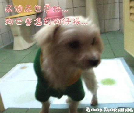 DSCF1386.JPG
