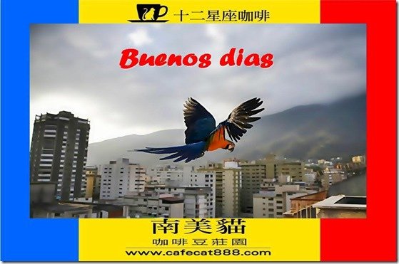 Buenos dias_5