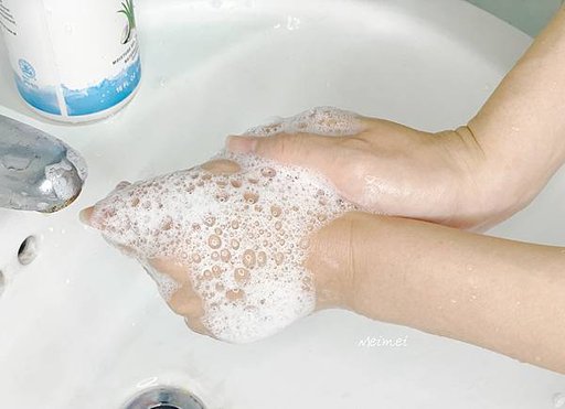 千年蘆薈專家【永久公司FOREVER 永久蘆薈】蘆薈淨膚乳、
