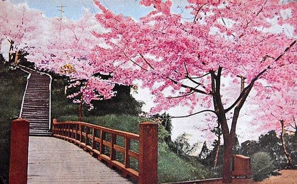 1890s年清朝廣州三品官全家在美國合照，氣勢十足+看不清他