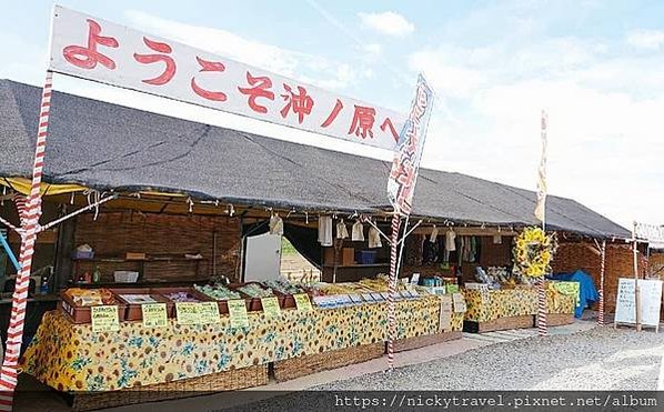 【日本旅遊 ◎ 新潟越後妻有】津南町在地景點－向日葵廣場／向