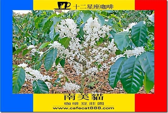 簡報8