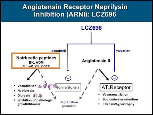 angiotensin-receptorneprilysin-inhibitionarnithe-new-fronteir-7-638.jpg