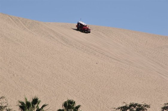 DSC_0313.JPG