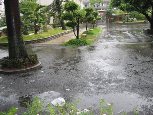 雨中的校園