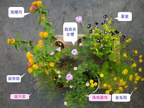 草花