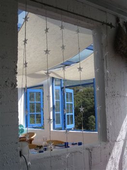 IMG_1437.jpg