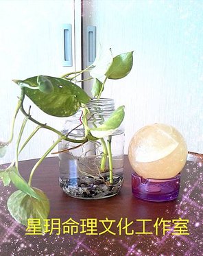 P_20150228_112155_mh1426312936541.jpg