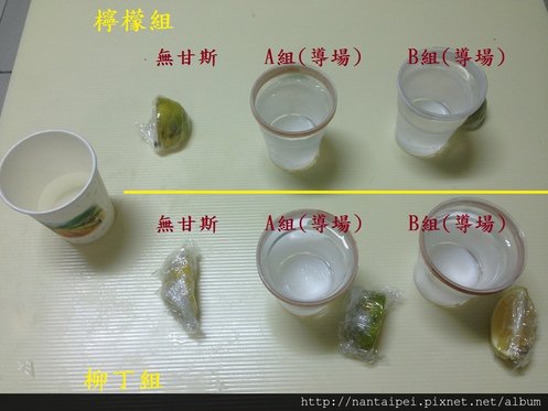 32.CO2甘斯實驗水果品嚐.JPG