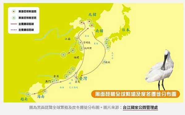 國際黑面琵鷺後援聯盟將茄萣溼地評定為國際級溼地、禁止在茄萣溼