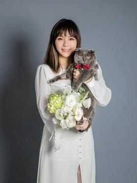 【真實分享】腎貓四期：阿吉吃寵樂腎（有精神、有食慾）