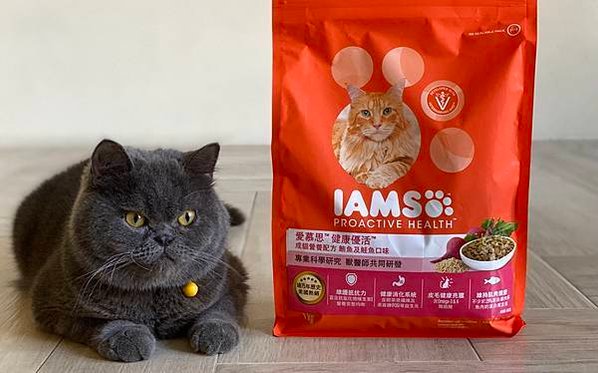 貓糧推薦｜IAMS™愛慕思™健康優活系列-成貓營養配方 好評