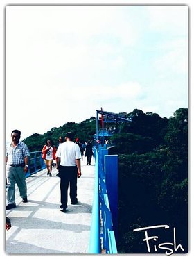 img1431348955695