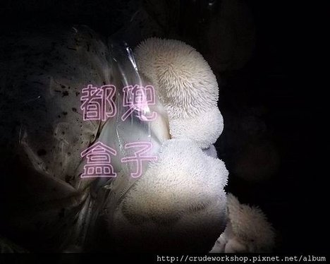 部落格用_170205_0085