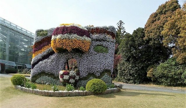 濱松花卉主題公園 (12)