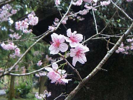 2012年4月24日 明覺法堂 (台北) 弘聖上師說法講紀.jpg