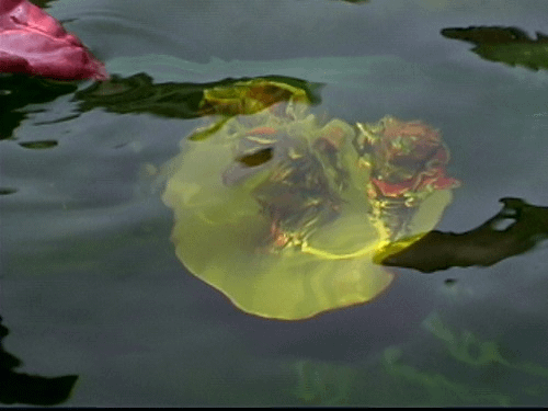 第三世多杰羌佛（義雲高）H.H. Dorje Chang Buddha III