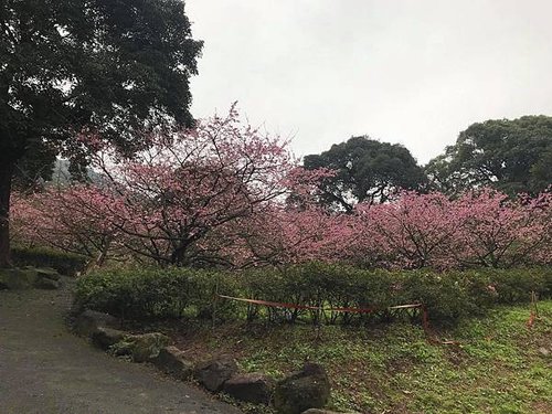 1月18淡水天元宮2.jpg