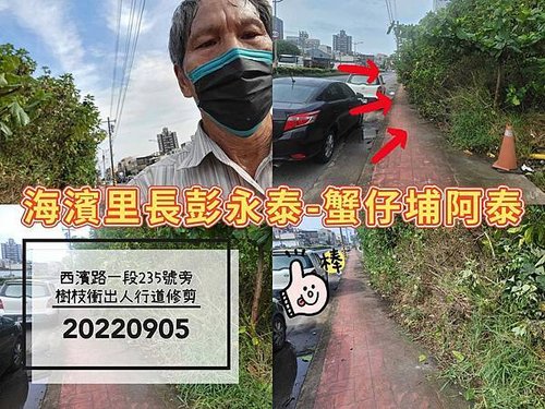 20220905西濱路一段235號旁樹枝茂盛修剪-海濱里里長彭永泰.jpg