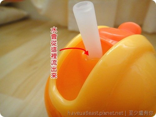 20101226_143649