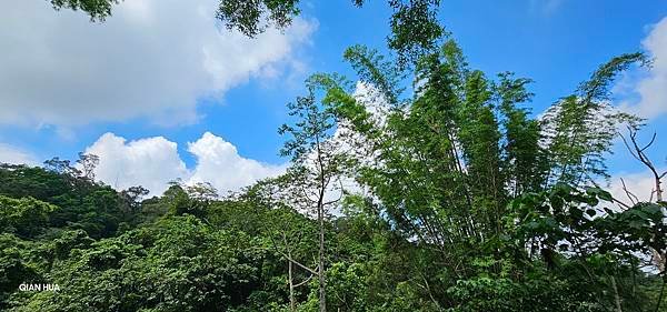 {大坑1-2-5號步道】全台唯一原木棧道~台中10大熱門景點
