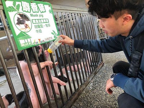 淨園農場_190204_0094.jpg