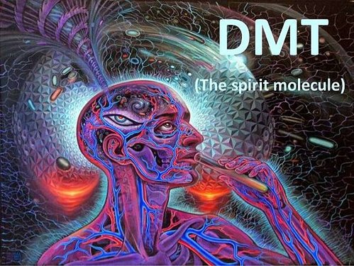 dmt-1-638.jpg