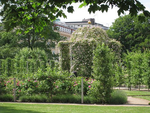 IMG (205).JPG