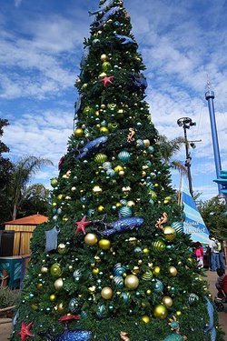 Day 4-SD-SeaWorld (2).jpg