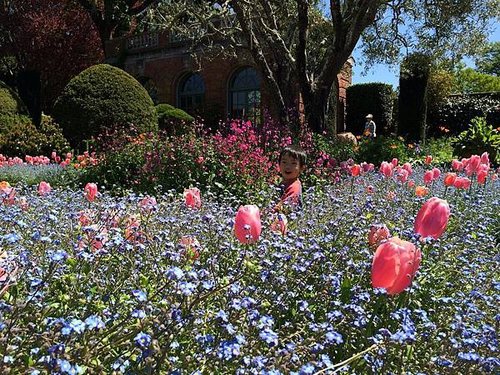 April at Filoli (17).jpg