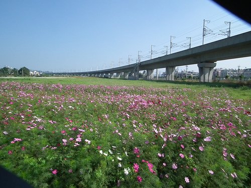 DSCF4548