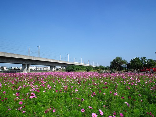 DSCF4546