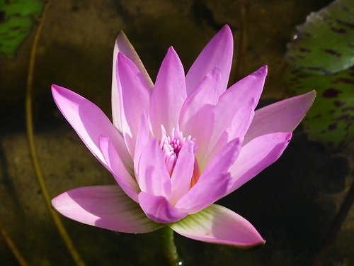 DSCF4597