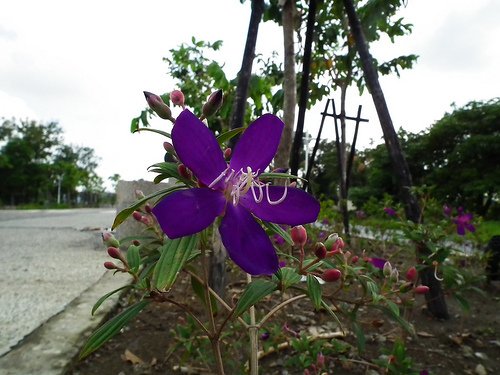 DSCF3518