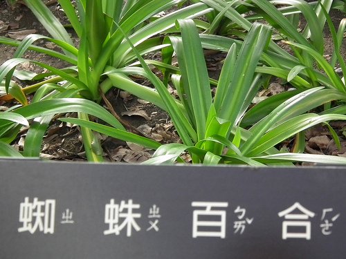 DSCF3511